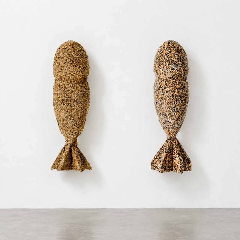 Seedbombs, 2016