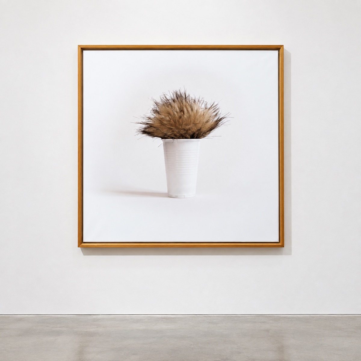 Hairy cups 02, 2015
