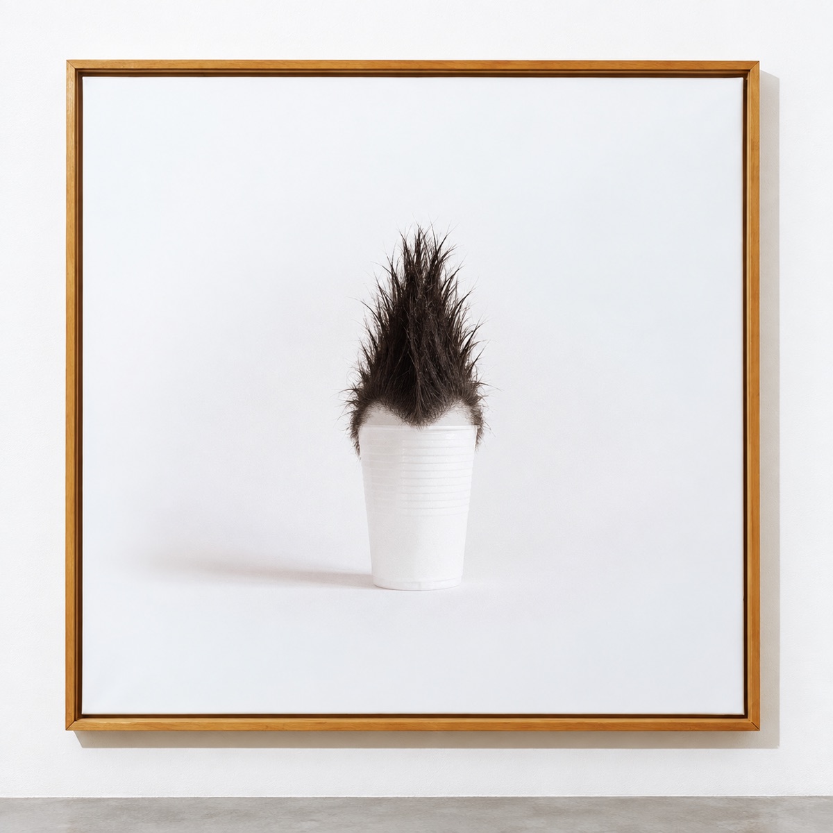 Hairy cups 03 mohawk, 2018