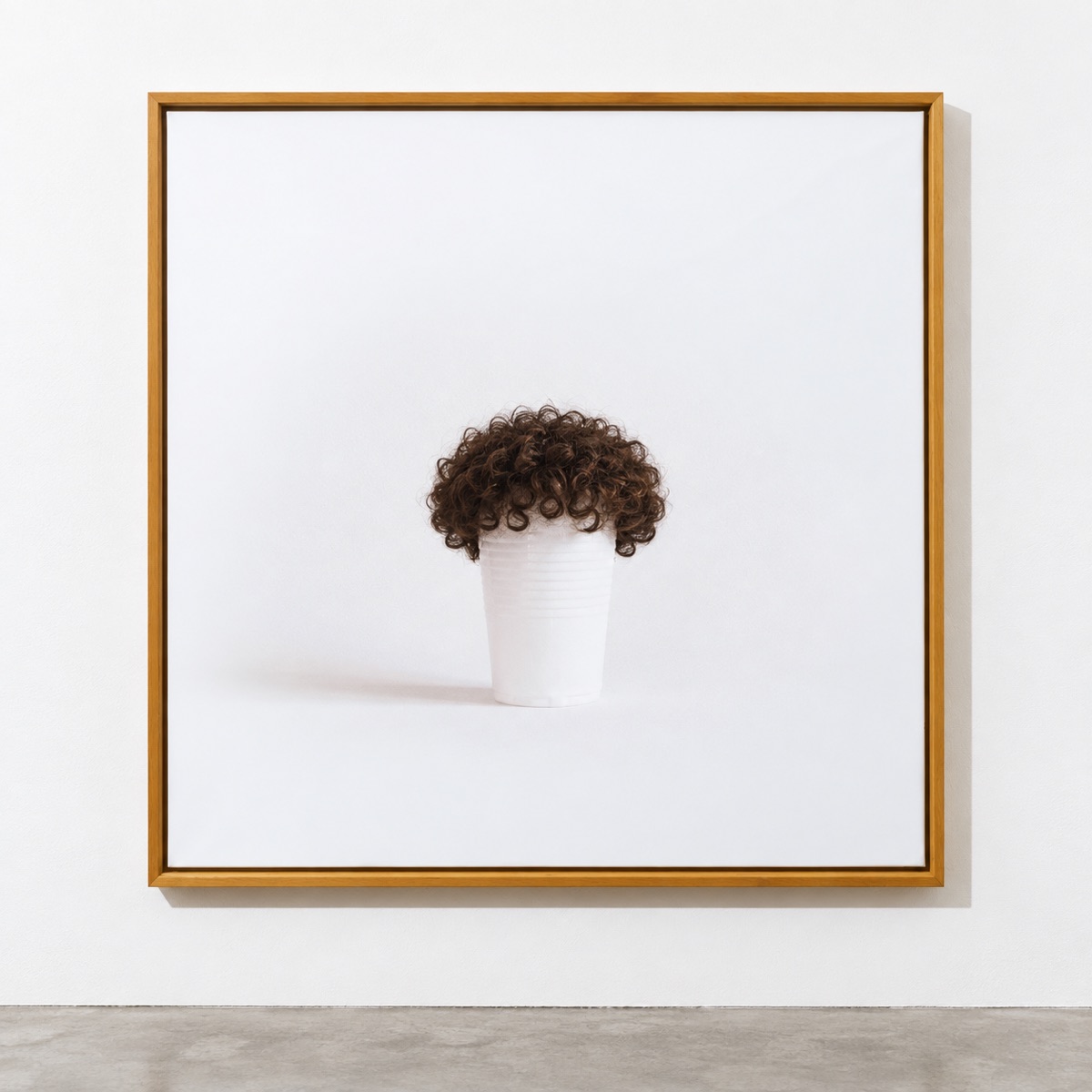 Hairy cups 04 curls, 2015