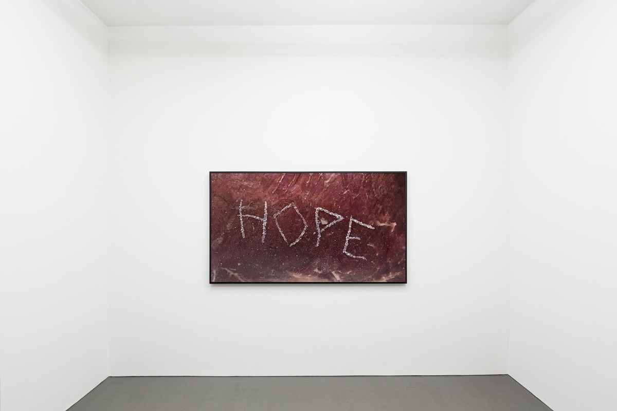 Hope, 2015 – view 1