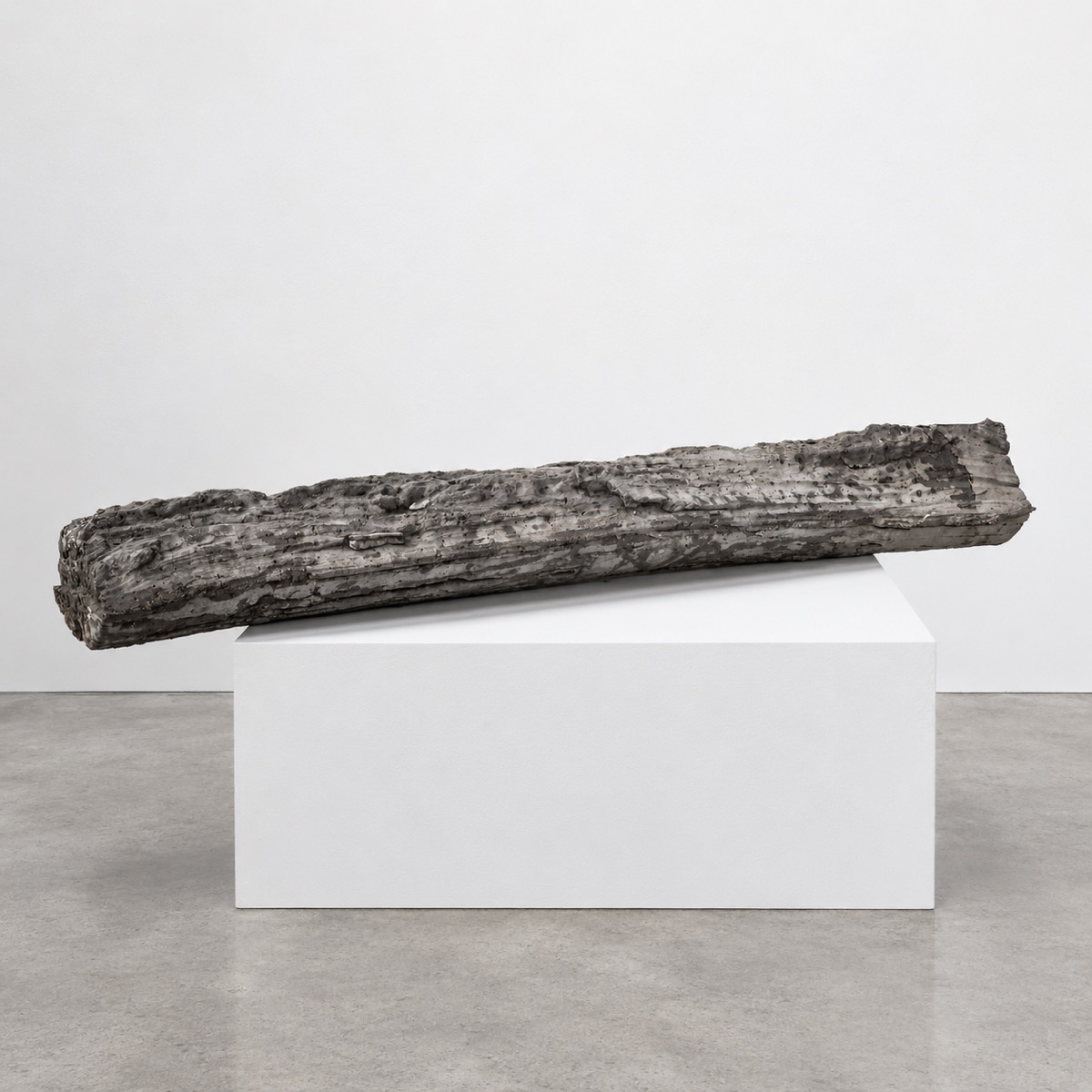 Scheit, 2015