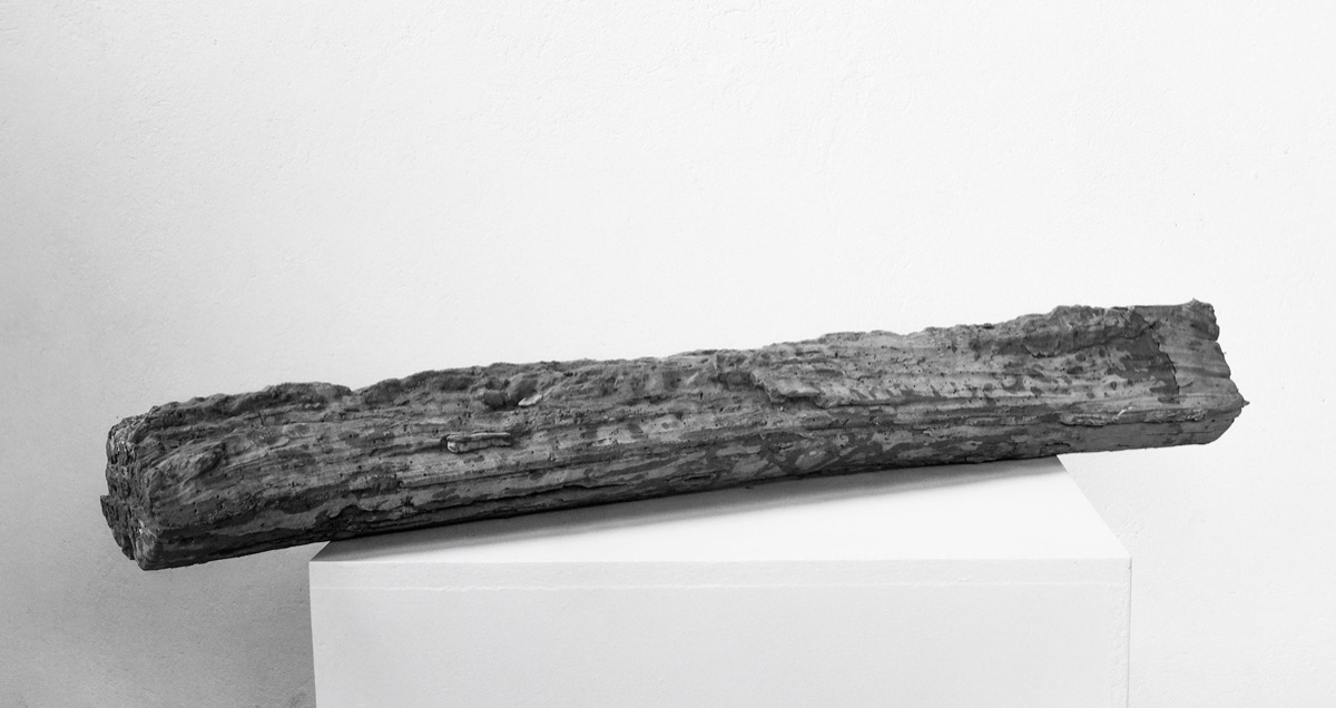 Scheit, 2017 – view 1